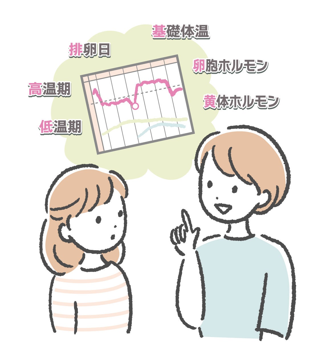 基礎体温から体の状態がわかる