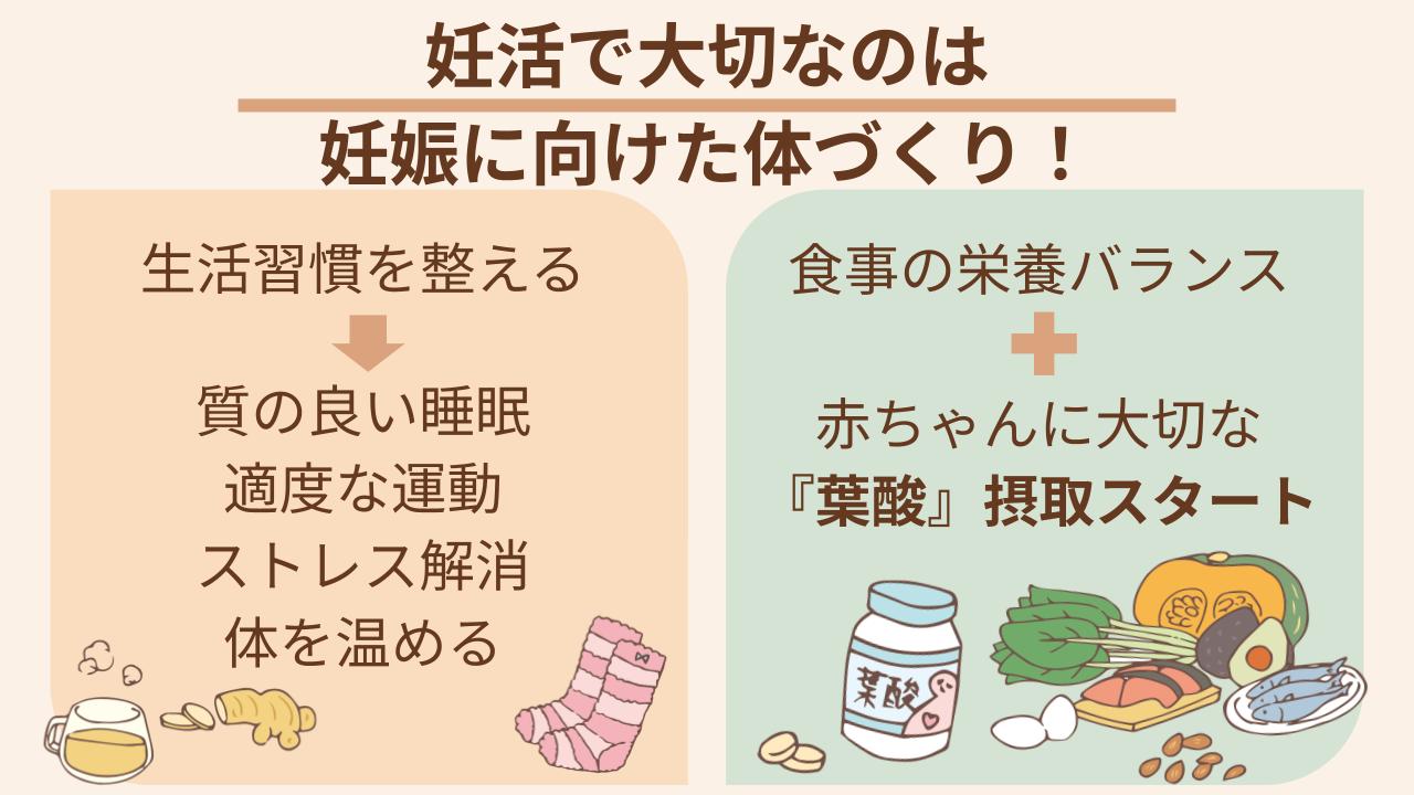 生活リズムと栄養バランスを整えたら葉酸を摂取しよう