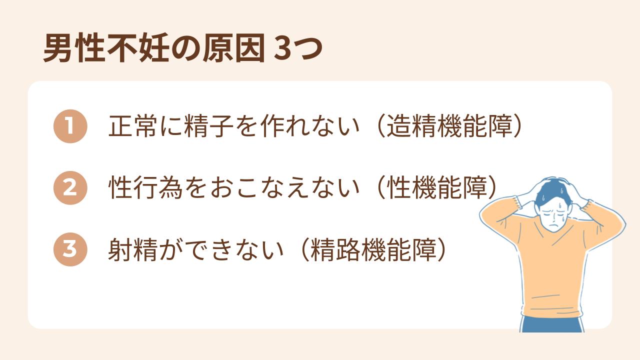 男性不妊の原因は、造精機能障害、性機能障害、精路機能障害の3つです。