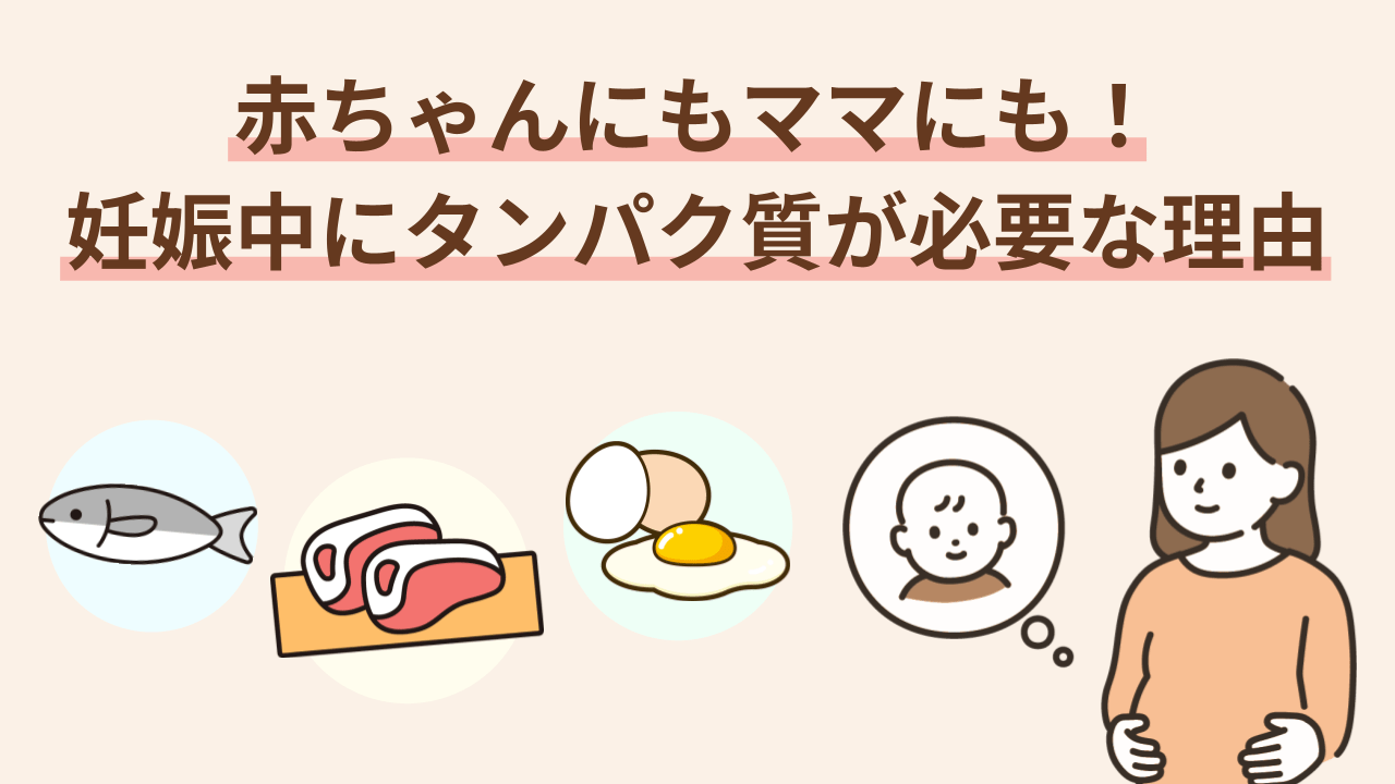 妊娠中は、おなかの赤ちゃんの発育を支えるためだけでなく、ママ自身の健康を保つためにも、より多くのタンパク質が必要になります。