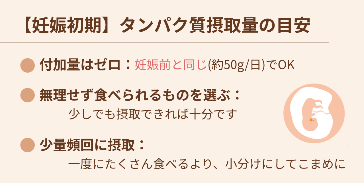 付加量はゼロ：非妊娠時と同じ（約50g/日）でOK 無理せず食べられるものを選ぶ：少しでも摂取できれば十分です 少量頻回に摂取：一度にたくさん食べるより、小分けでこまめに