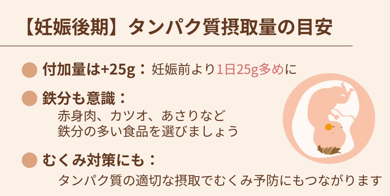 付加量は+25g：非妊娠時より1日25g多めに 鉄分も意識：赤身肉、カツオ、あさりなど鉄分の多い食品を選びましょう むくみ対策にも：タンパク質の適切な摂取でむくみ予防にもつながります