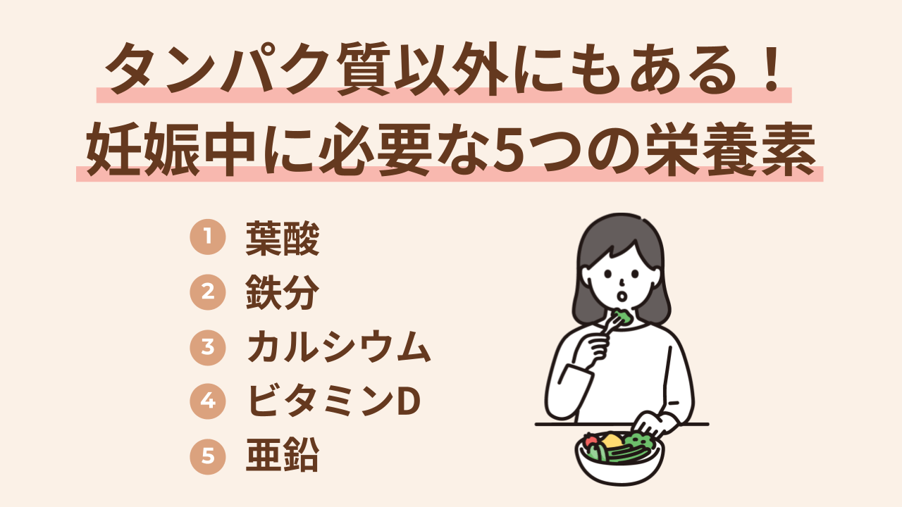 1.葉酸 2.鉄分 3.カルシウム 4.ビタミンD 5.亜鉛