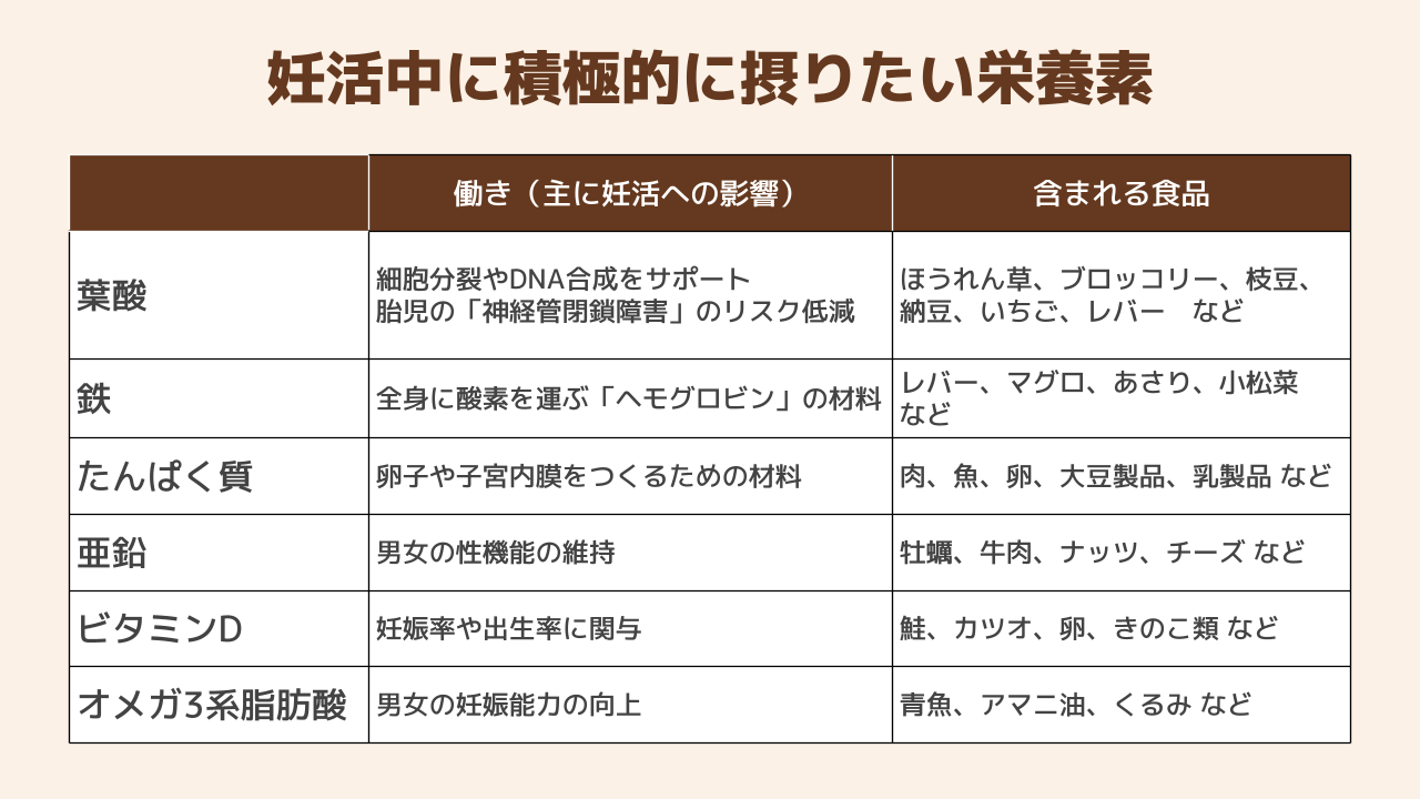 妊活中に摂りたい栄養素の一覧表