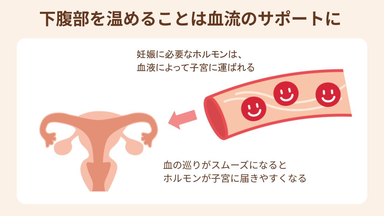 下腹部を温めて血の巡りがよくなると、妊娠に必要なホルモンも運ばれやすくなる