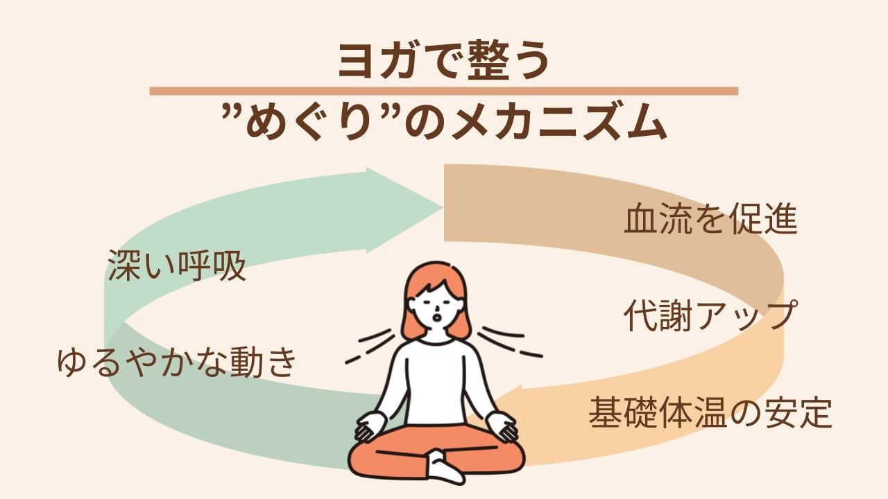 呼吸＋動作により体のすみずみまで酸素が行き渡り、代謝が上がり基礎体温も安定する