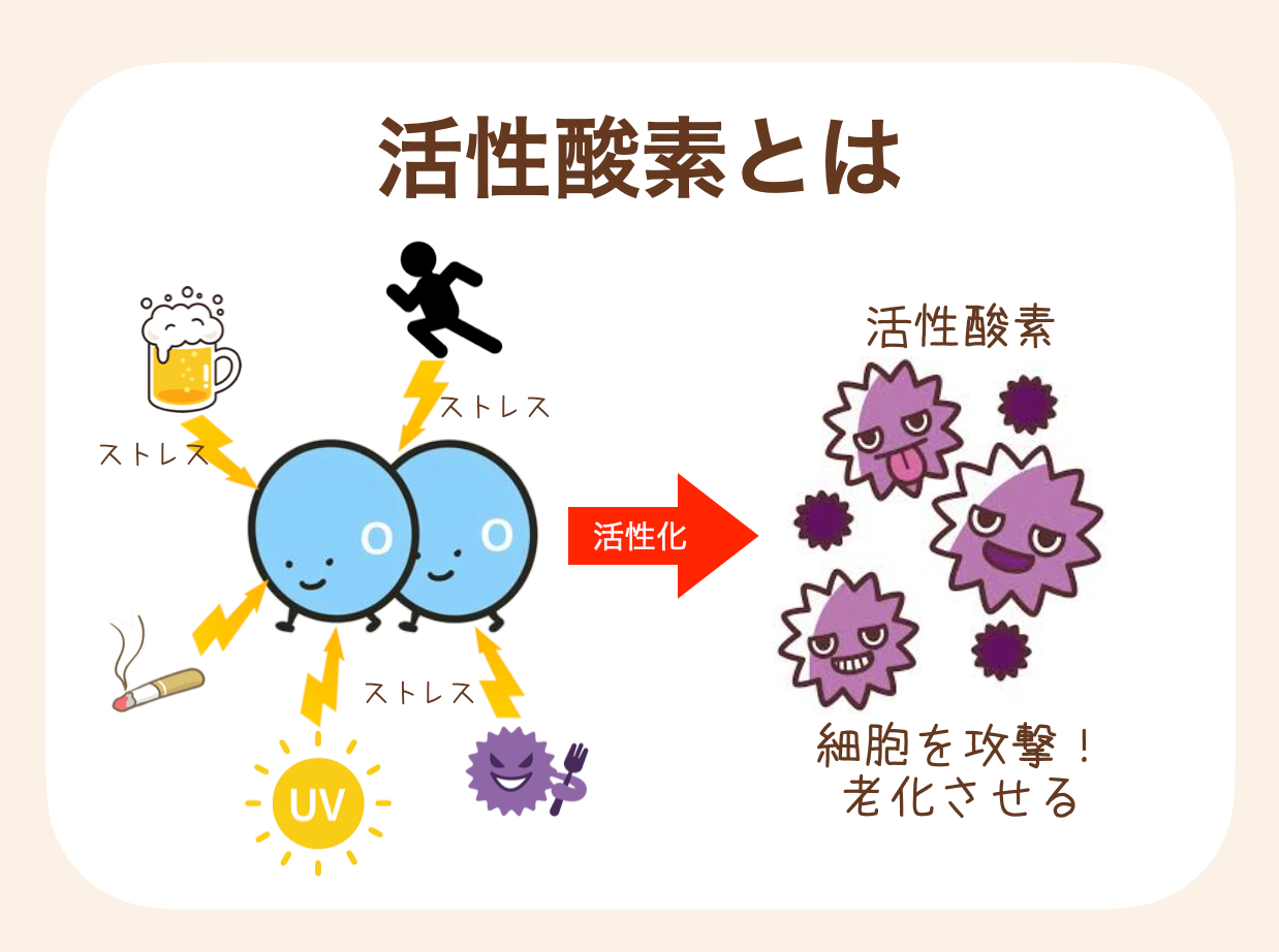 通常の酸素よりも活性化した状態の酸素
