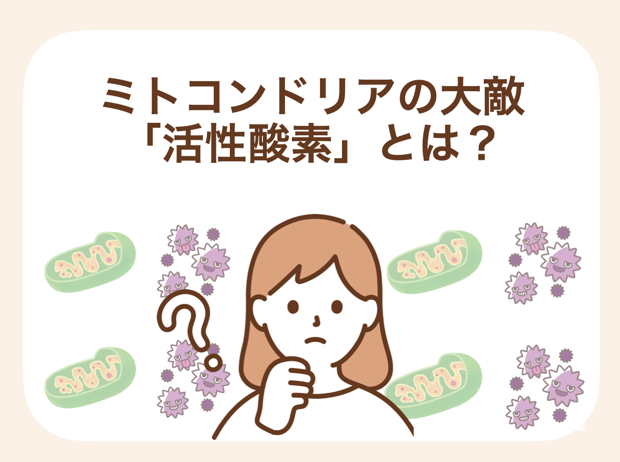 ミトコンドリアのはたらきを低下させる「活性酸素」をカラダの中で発生させないことがポイント