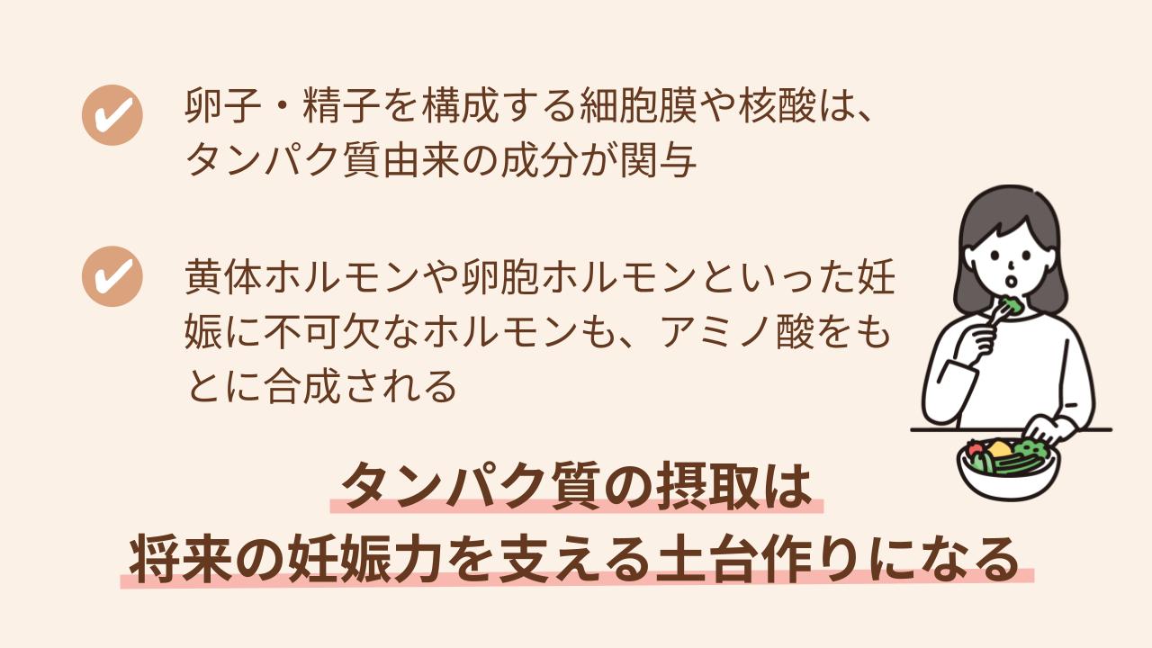 卵子・精子・ホルモンも、タンパク質由来成分やアミノ酸でつくられる