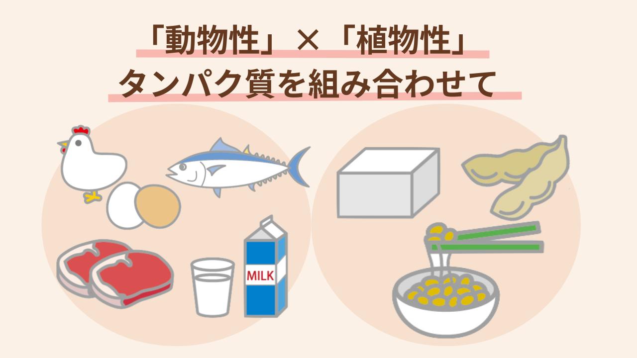 妊活期の効率的なタンパク質摂取に効く組み合わせ方