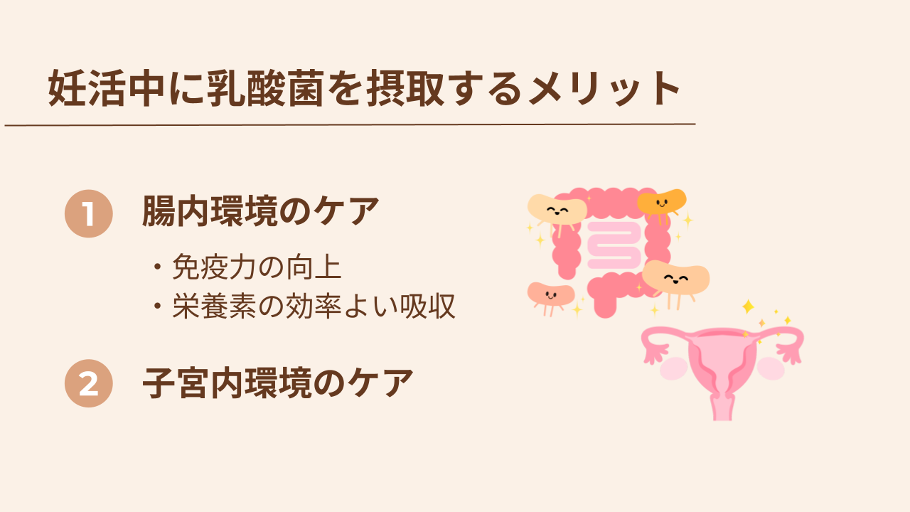 妊活中に乳酸菌を取るメリットは、腸内や子宮内環境のケア