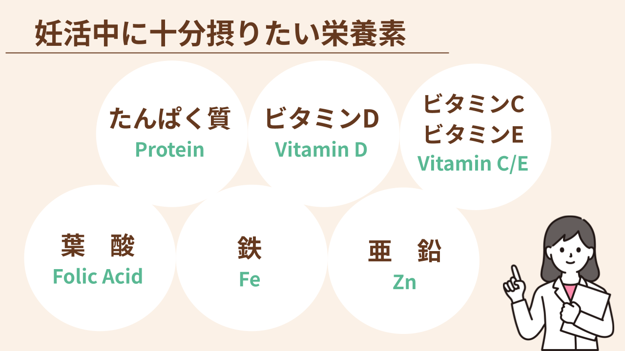 妊活中に摂りたい栄養素6種