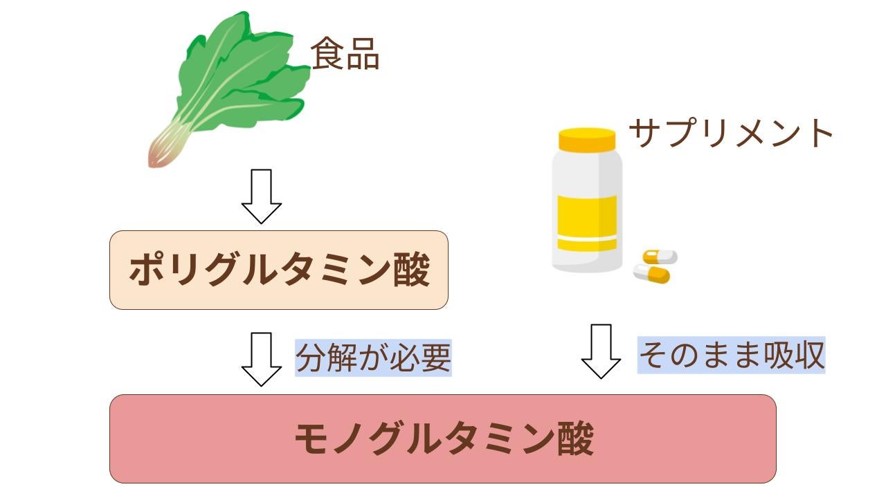 食事よりもサプリメントの方が葉酸の体内吸収率がいいと言われています。