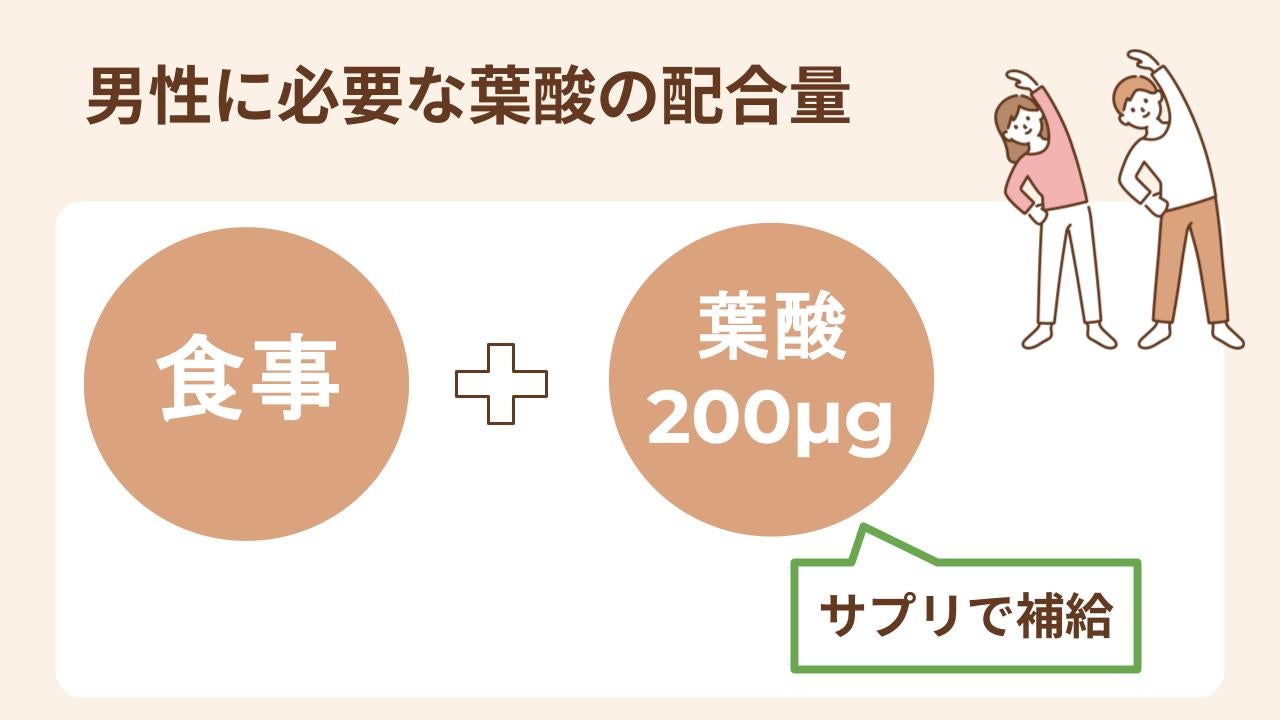 日々の食事で不足しがちな葉酸を補うために、200μg以上の葉酸が含まれているサプリを選びましょう。