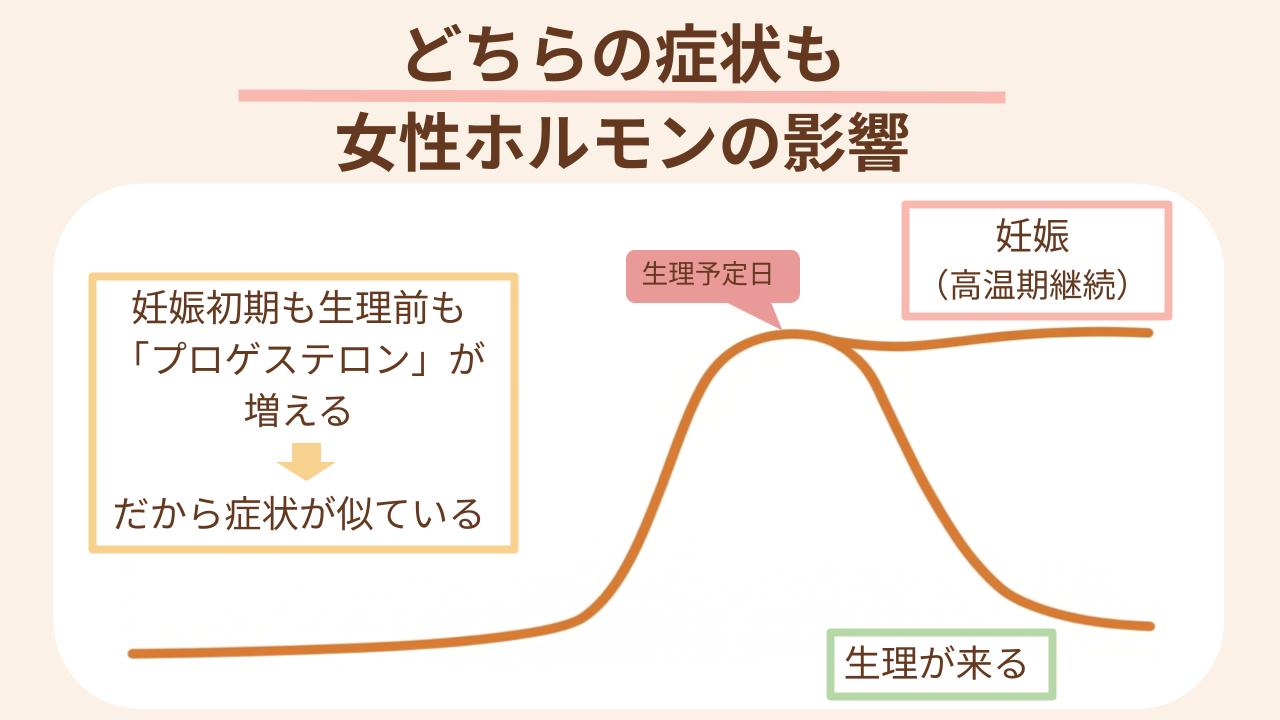 似ているのは女性ホルモンの影響