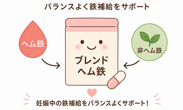 ヘム鉄と非ヘム鉄をバランスよくブレンド