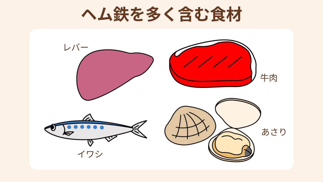 ヘム鉄を多く含む食材を紹介