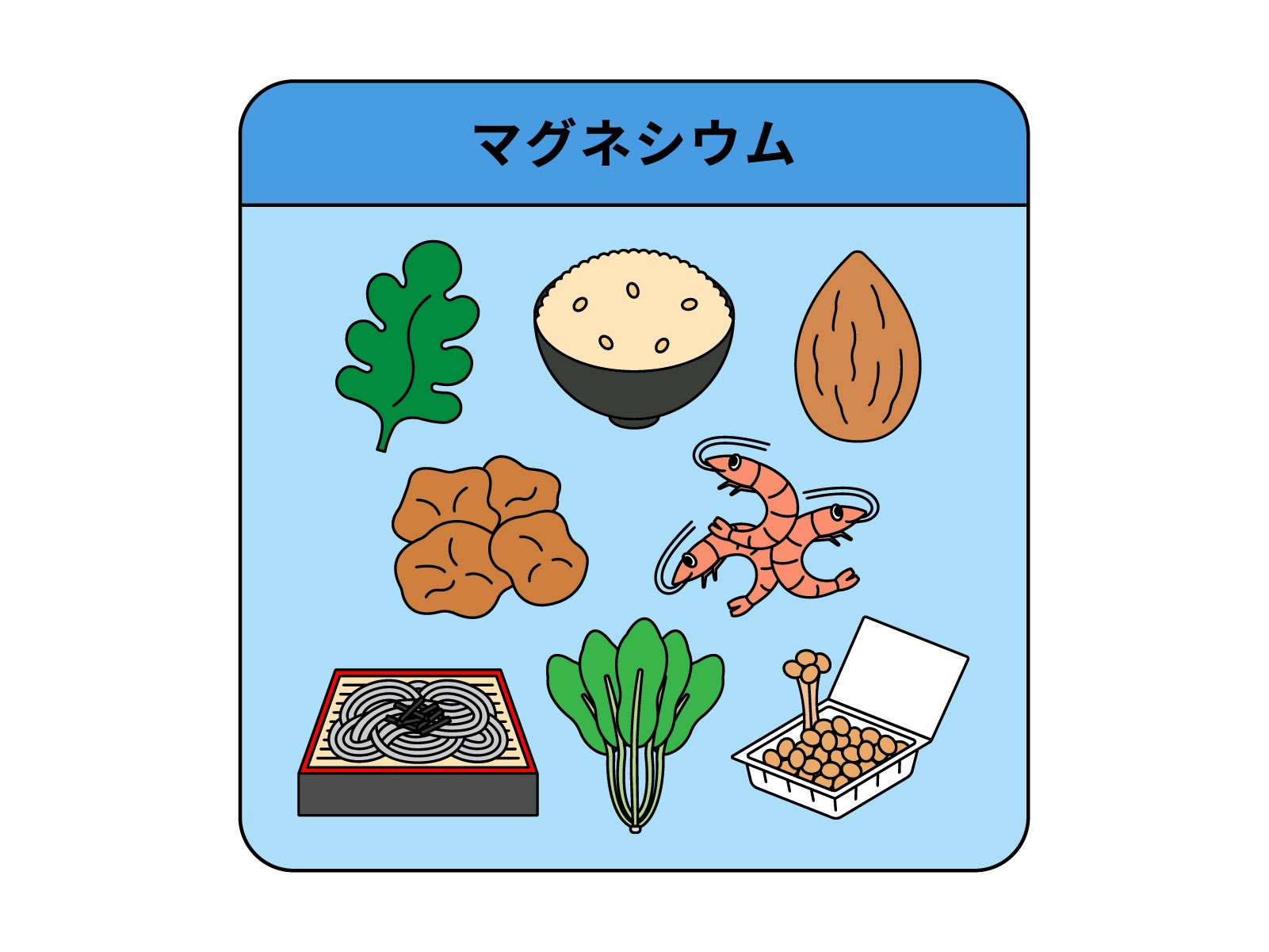 マグネシウムは、体の中で300種類以上の酵素の働きを助けるミネラルで、筋肉や神経の調整、血圧の安定、骨の健康維持などに深く関わっています。