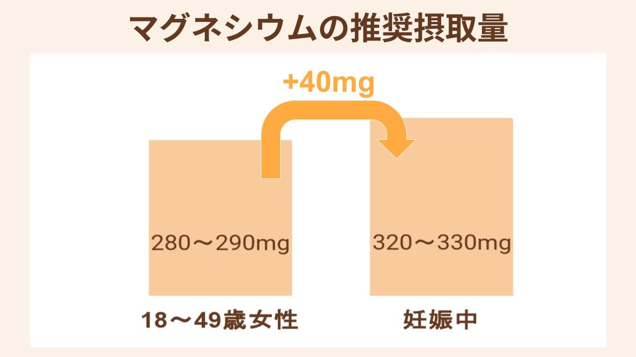 厚生労働省によると、妊娠中に必要なマグネシウムの推奨摂取量は、1日あたり「320～330mg」です。