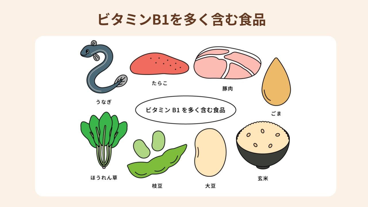 ビタミンB1を多く含む食品を紹介
