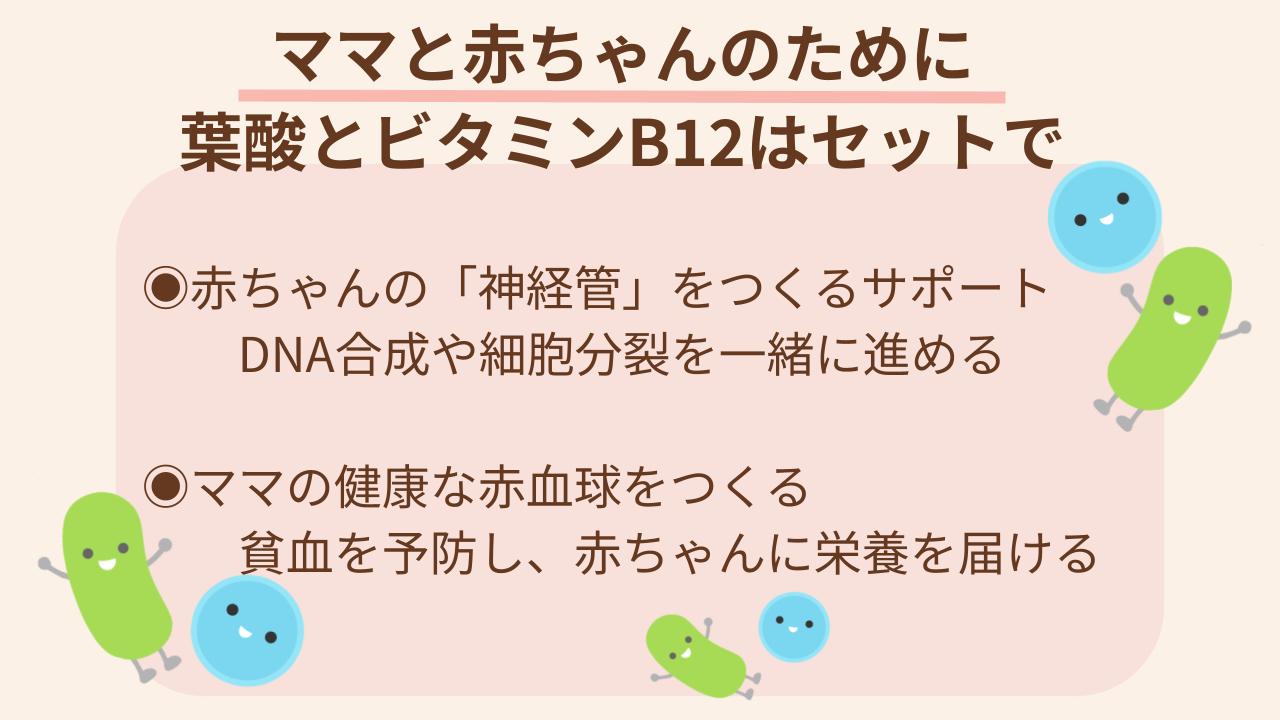 セットで働くことが赤ちゃんの生育に欠かせない