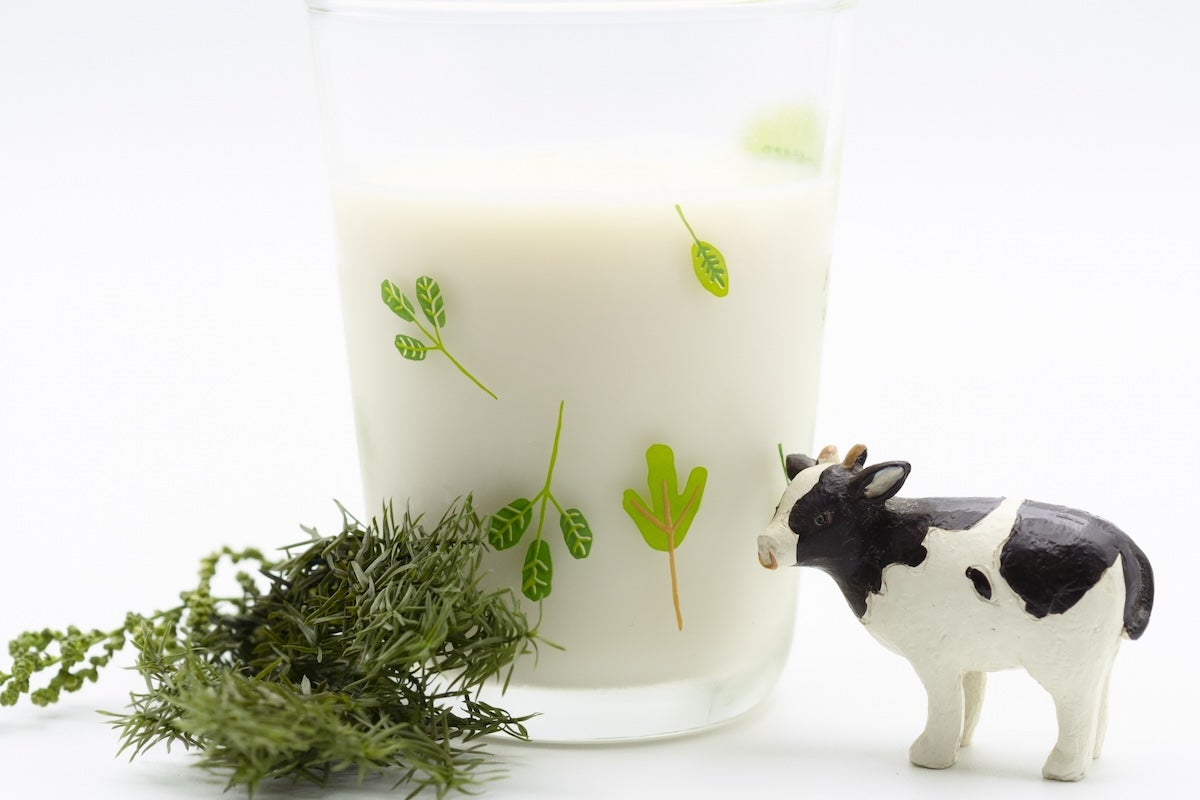 牛乳を毎日コップ6杯飲むのはちょっと無理