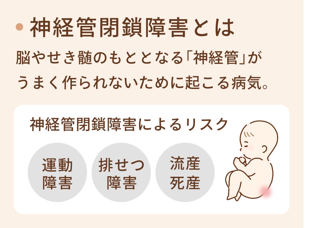 神経管閉鎖障害とは、脳やせき髄のもととなる神経管がうまく作られないために起こる病気のこと