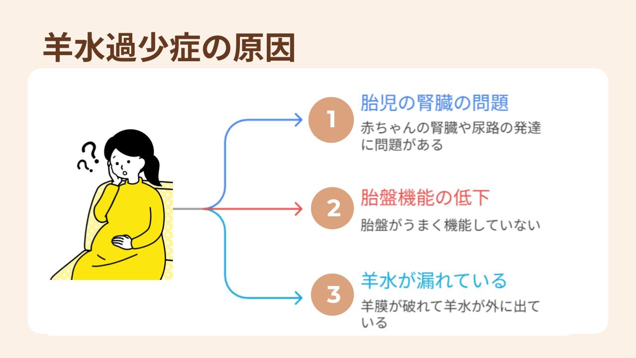胎児の腎臓や尿のトラブルや胎盤の機能低下が原因