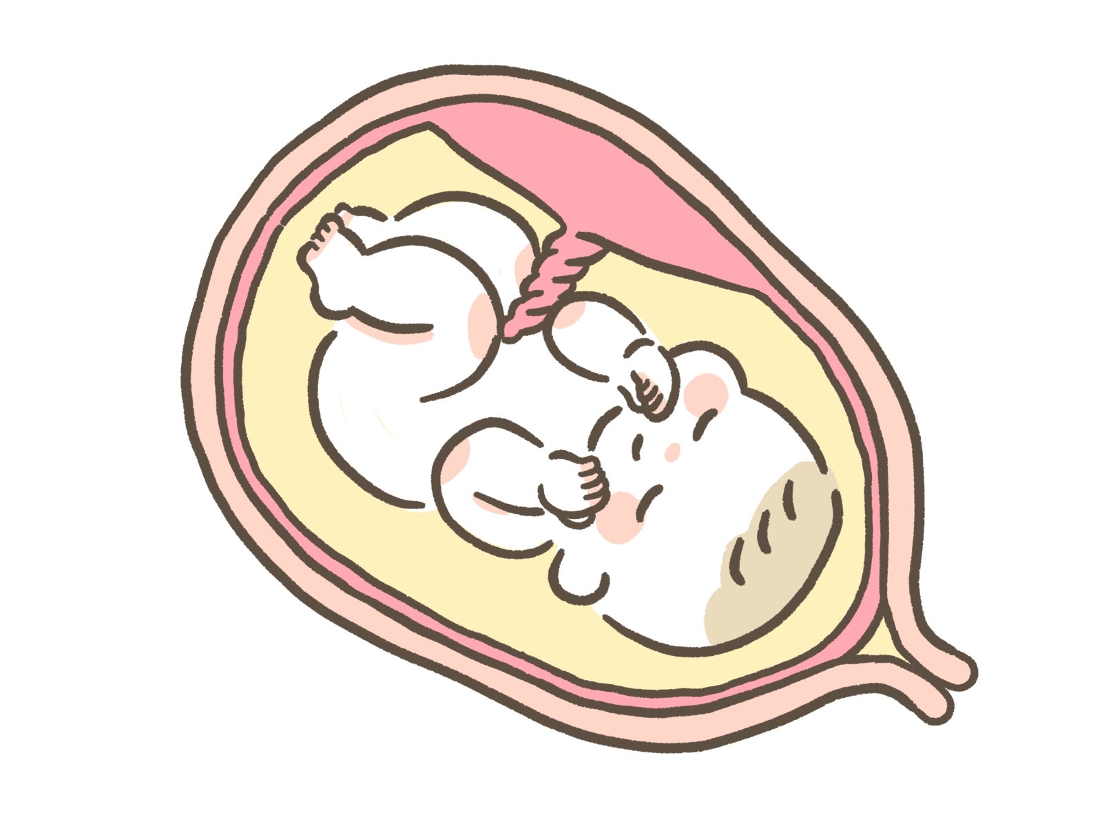 お腹の中で気持ちよさそうにする胎児