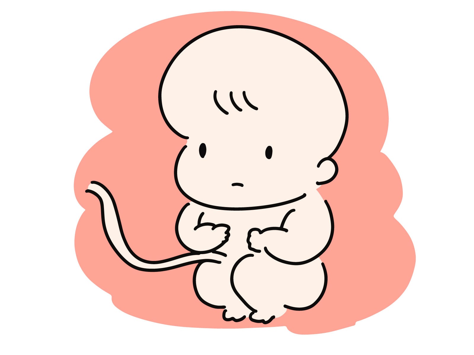 胎児のイラスト