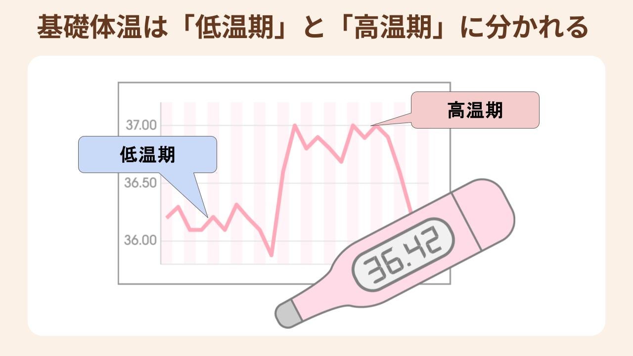 排卵後に体温が上がるのが遅い原因とは？妊娠確率と受診の目安を徹底解説