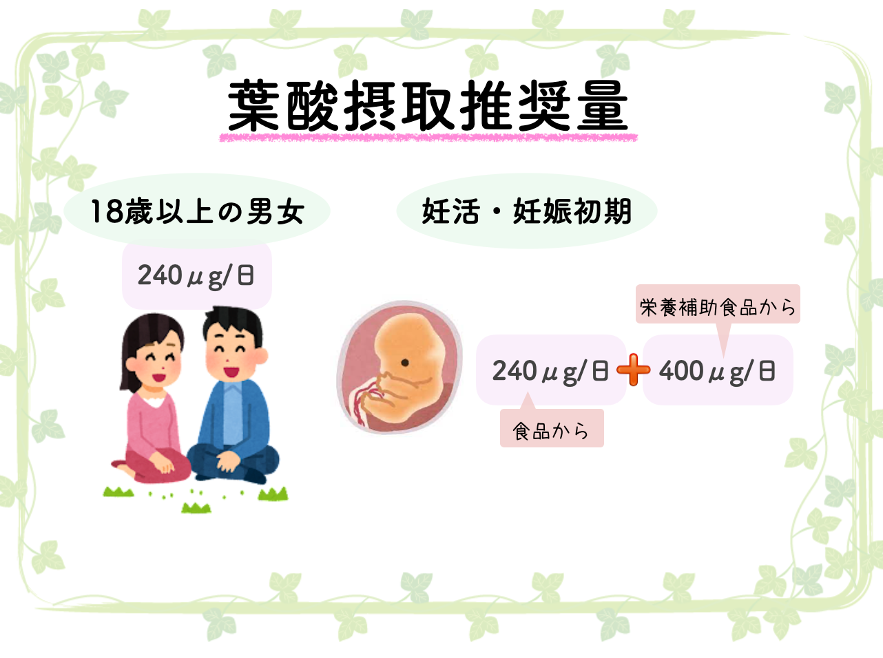 妊活中～妊娠初期の女性は240μg＋400μgの葉酸を摂取しよう