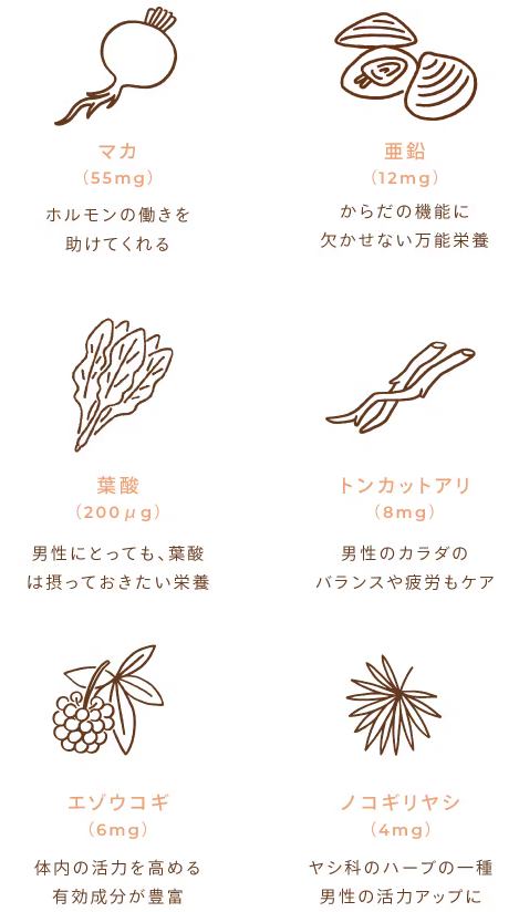 マカ、亜鉛などmfmの精活力に関する栄養素の説明画像