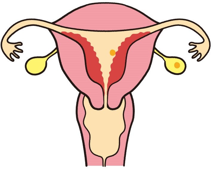 このホルモンが子宮内膜をふかふかに保ち、妊娠したときに受精卵が着床しやすいよう準備を整えてくれます。