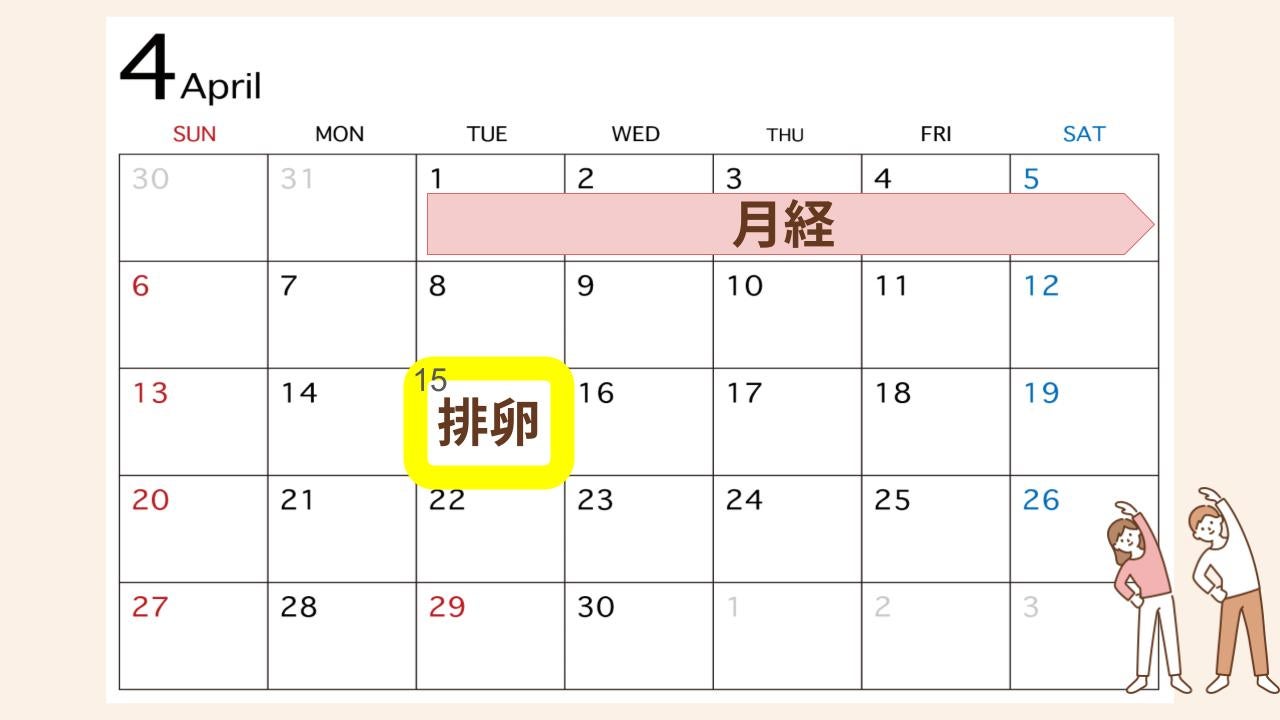 4月1日の14日後である4月15日が排卵日となる