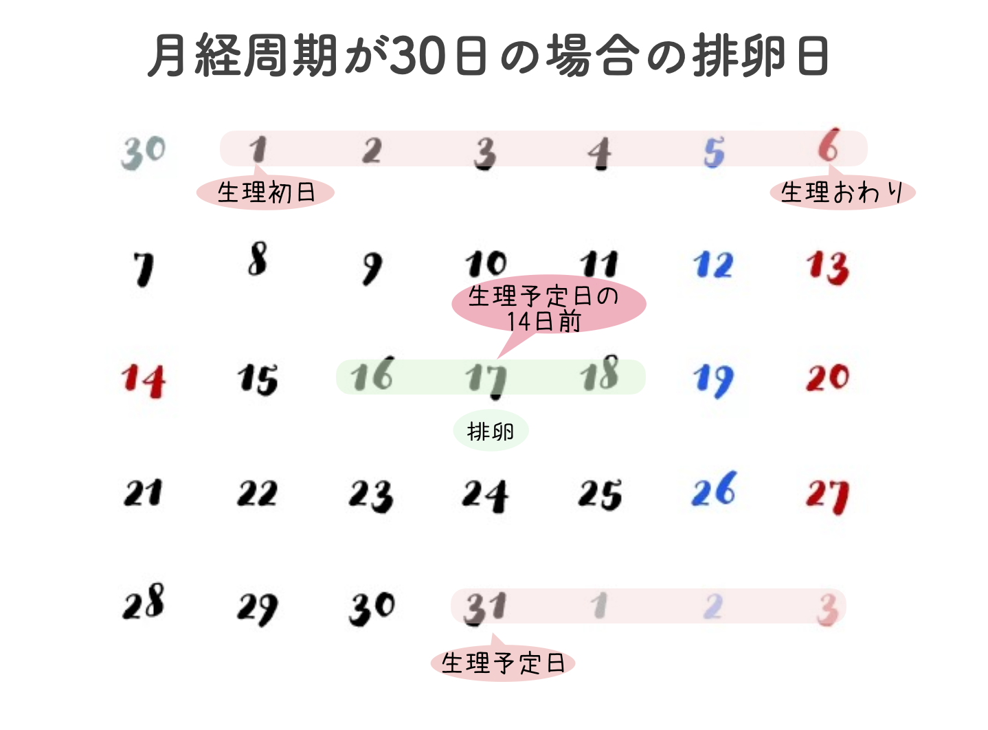 次の月経予定日の14日前が排卵日