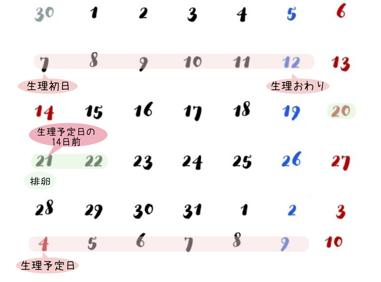 排卵日の計算方法を紹介
