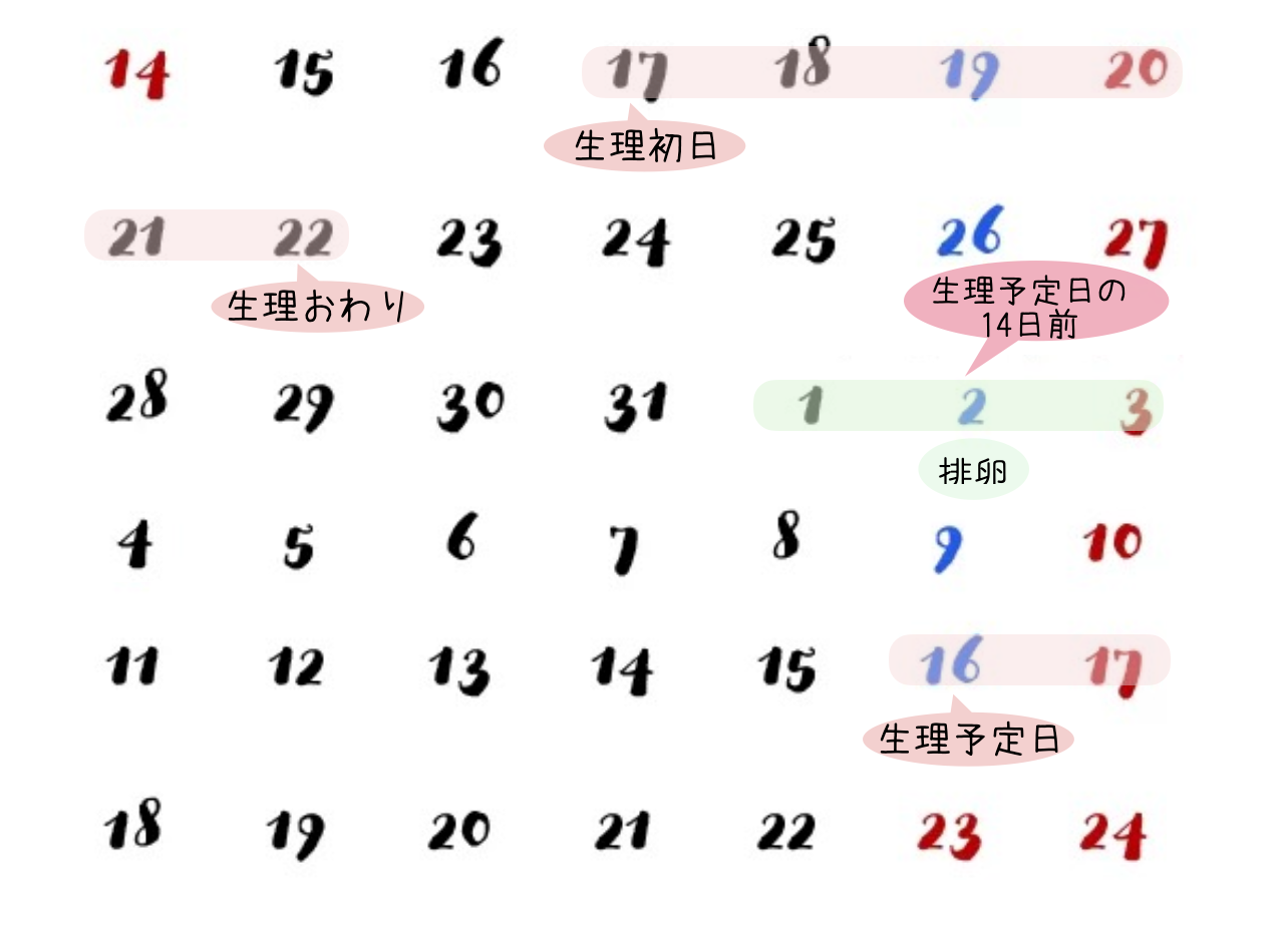 排卵日の計算方法を紹介