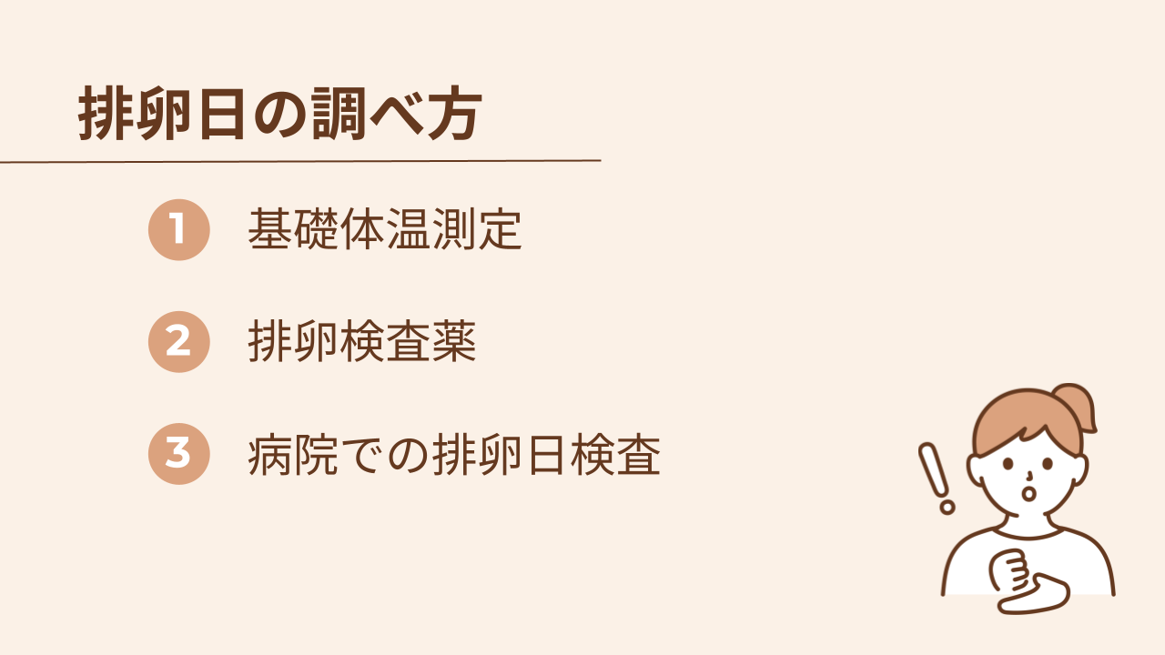 排卵日の調べ方には基礎体温測定、排卵検査薬、病院での排卵日検査の3つの方法があります。