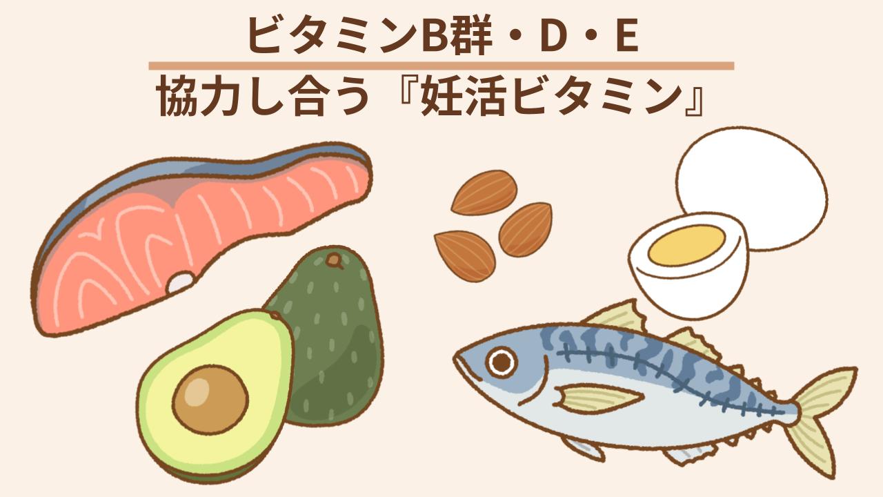 協力し合ってはたらく「妊活ビタミン」