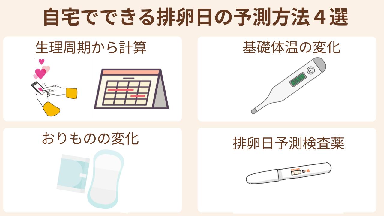 自宅でできる排卵日の予測方法は生理周期から計算する、基礎体温やおりものの変化から予測、排卵日予測検査薬を活用する方法がある