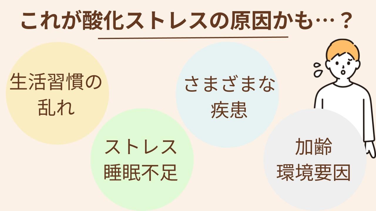 酸化ストレスは、さまざまな要因によって高まります。