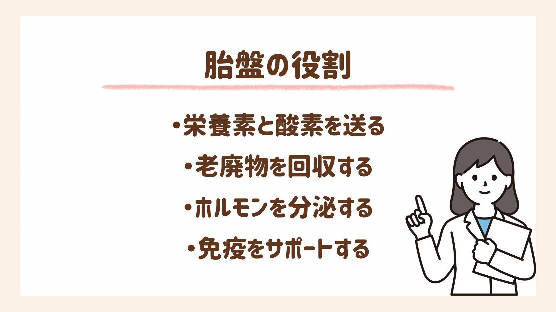 胎盤の役割を解説