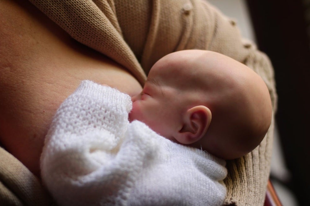 授乳に血液が使われることが、貧血になりやすい原因のひとつ