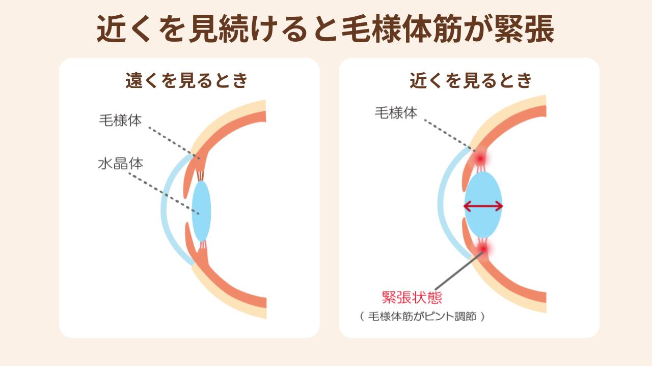 遠くを見て目をリラックスさせる時間も必要