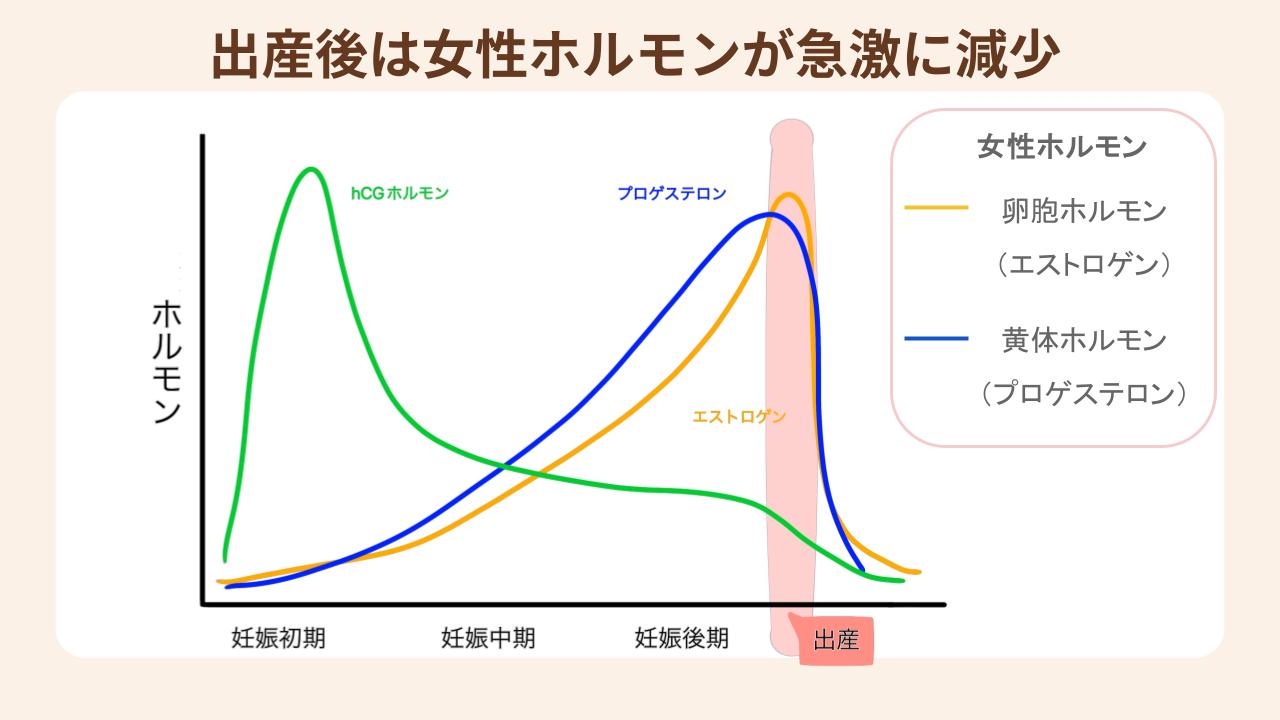 出産後は女性ホルモンが急激に減少する