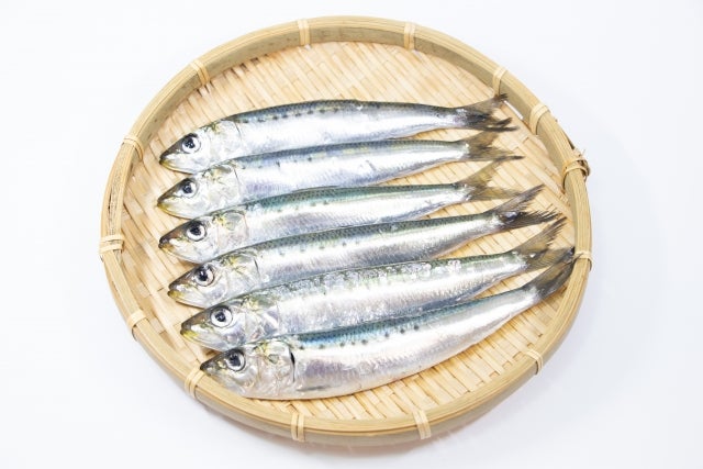 イワシ
