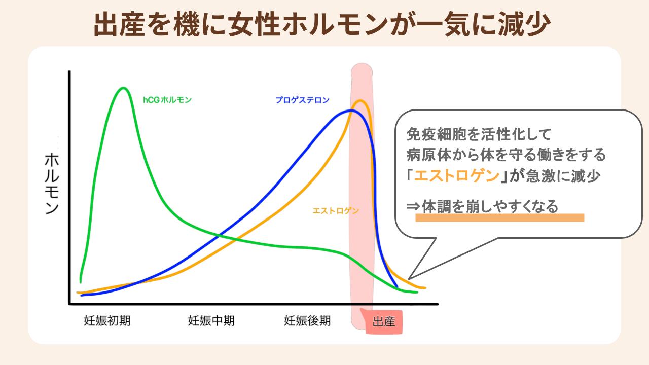 免疫細胞を活性化させる働きのあるエストロゲンが一気に減少するため、体調を崩しやすくなる