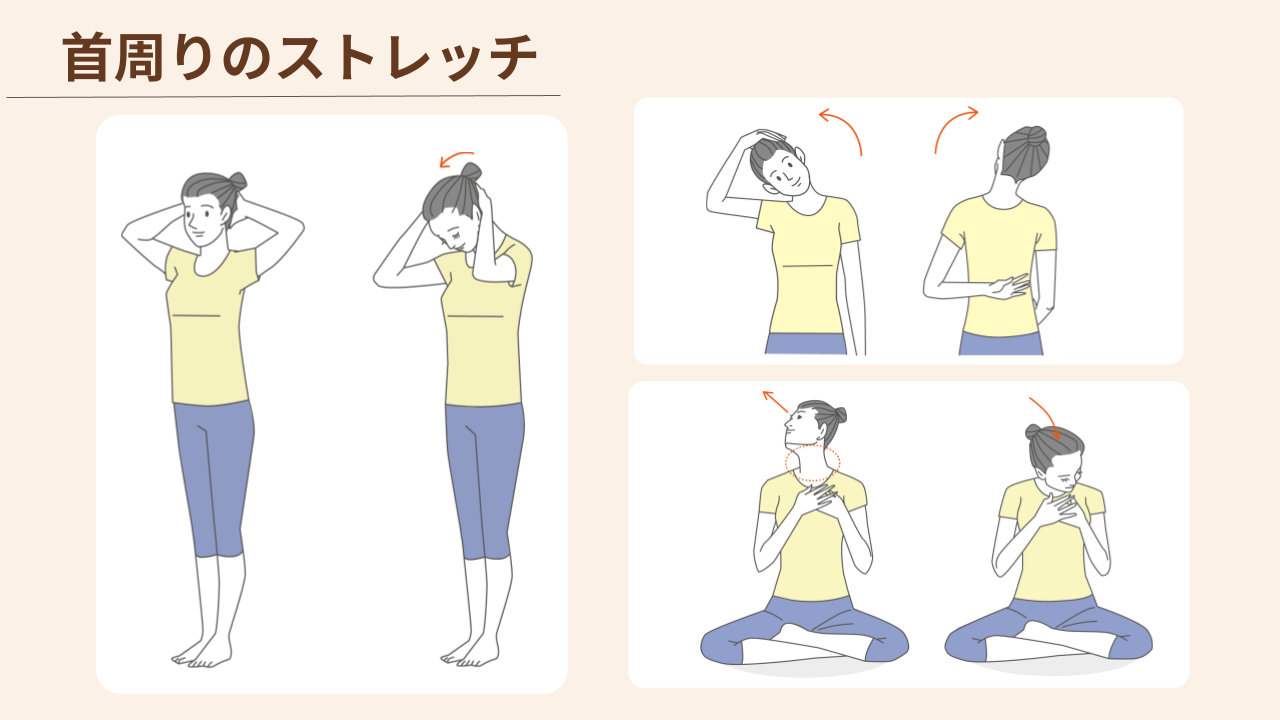 首を前後左右に倒したり首筋を伸ばしたりするストレッチ