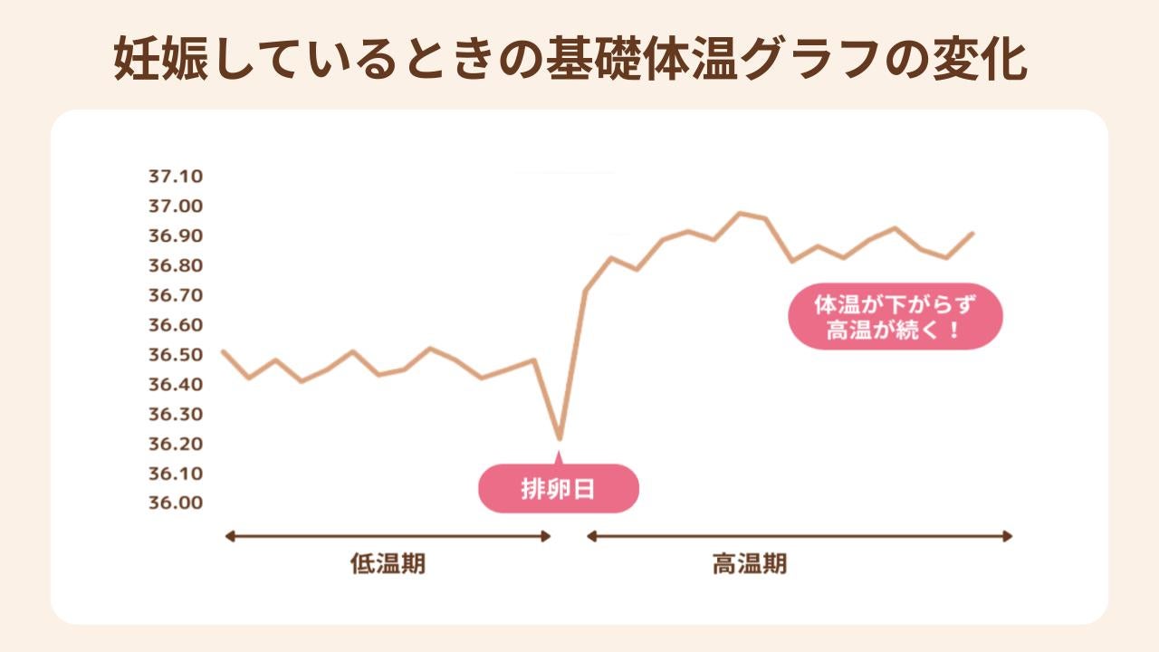 妊娠しているときは生理予定日が近づいても高体温が続く